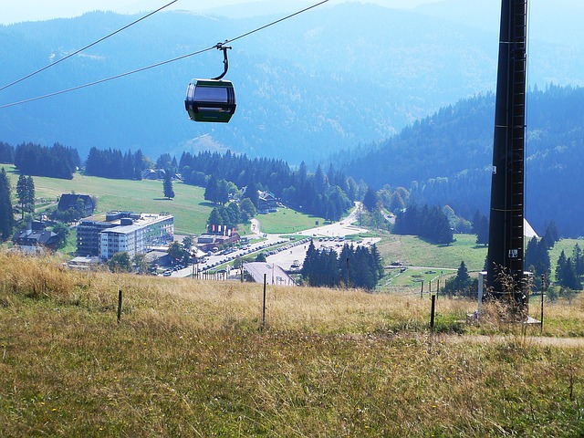 black forest 1121369 640