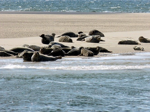 sylt 3807376 640
